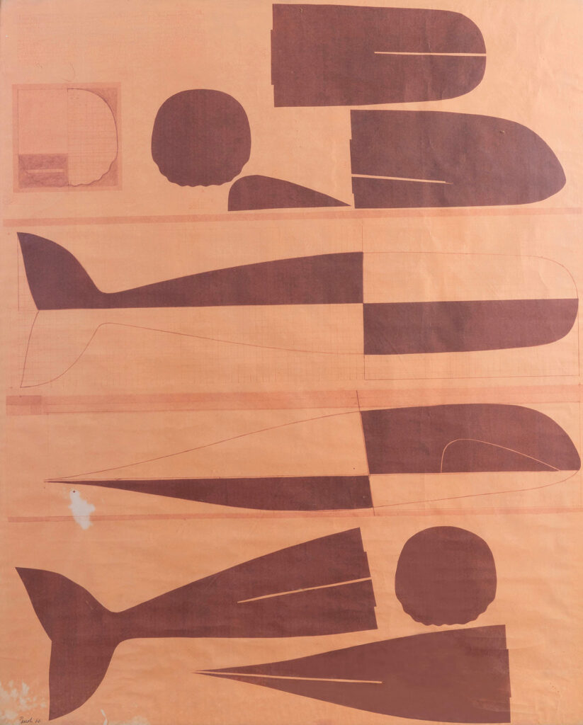 "Progetto di Balena", opera di Pino Pascali, risalente al 1966.