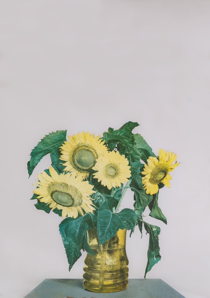 Michelangelo Pistoletto, "Girasoli", 1970, fronte dell’opera – Gregory's Casa d'Aste Bologna